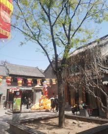 大染坊10