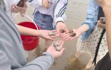 潍坊龙威赶海度假区1