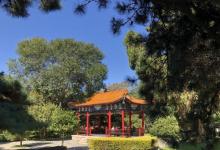 北戴河鲁迅公园7