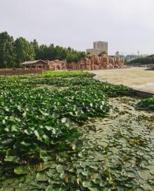 世纪公园23