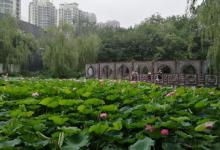 长安公园17
