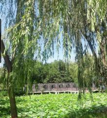 长安公园21