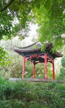 长安公园4