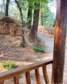 中华三祖圣地黄帝城遗址文化旅游区5