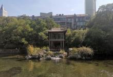 环城公园28