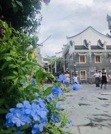 环城公园15