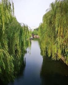 环城公园11