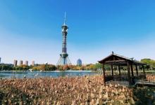 石家庄电视塔8