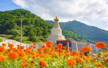 康宁寺4