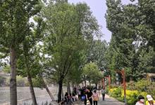 庆都山旅游度假区唐尧古镇22