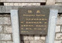 任泉12