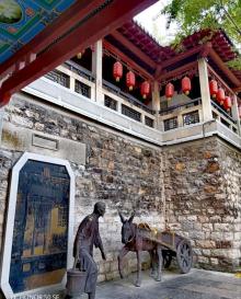 任泉8
