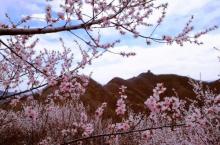 青山关12