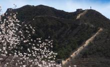 白羊峪长城旅游区1