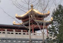 蒲湖公园9