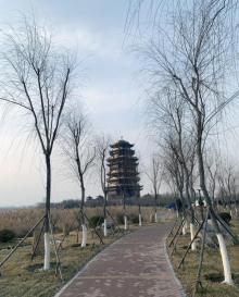 蒲湖公园7