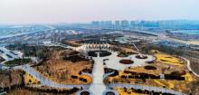 东营森林乐园1