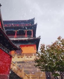 大慈阁18