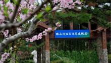 跑马岭生态休闲度假区6