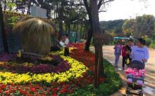 跑马岭生态休闲度假区5