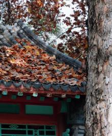 泉城公园13