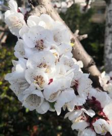 泉城公园25