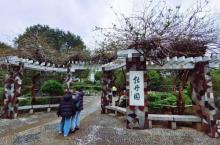 泉城公园4