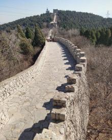 原山国家森林公园20