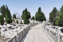 原山国家森林公园29