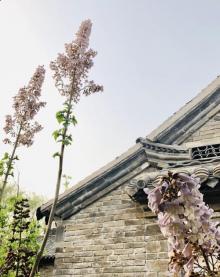 百花洲历史文化街区8