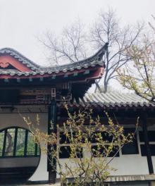 趵突泉-李清照纪念堂30