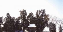 蒲松龄纪念馆6