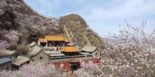 鸡鸣山旅游风景区11