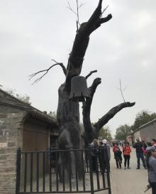 冉庄地道战遗址29