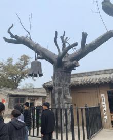 冉庄地道战遗址30