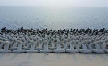 孤东海堤1
