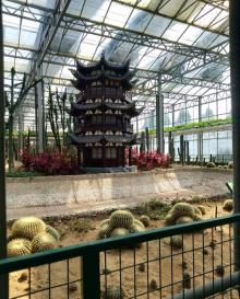 寿光蔬菜高科技示范园7