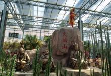 寿光蔬菜高科技示范园9