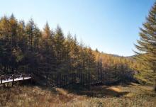驼梁风景区21