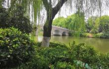 大明湖景区游船17
