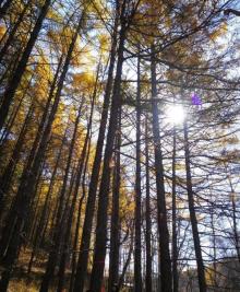 翠云山国际旅游度假区30