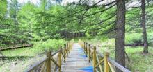 翠云山国际旅游度假区22