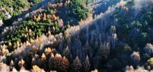 翠云山国际旅游度假区20