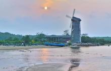 北戴河湿地公园4