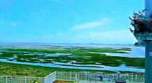 北戴河湿地公园5