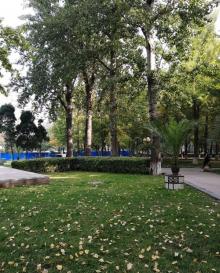 水上公园18