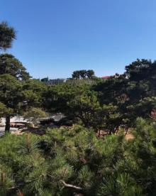 怪楼奇园21