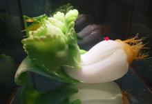 中国陶瓷琉璃馆10