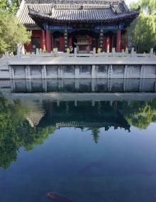 百脉泉公园14