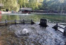 百脉泉公园19